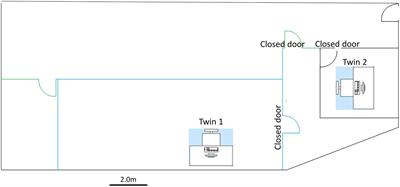 Brain functional connectivity correlates of anomalous interaction between sensorily isolated monozygotic twins